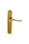 8169 - Polished Brass