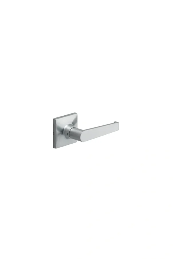 Schlage Regent Boston
