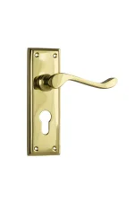 Camden-1076E-Polished-Brass-Long-Backplate-Lever-Euro