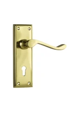 Camden-1077-Polished-Brass-Long-Backplate-Lever-Skeleton