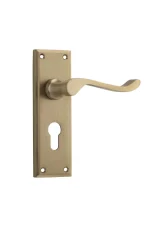 Camden-6635E-Satin-Brass-Long-Backplate-Lever-Euro