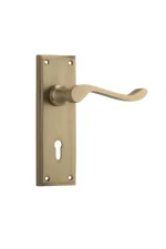 Camden-6636-Satin-Brass-Long-Backplate-Lever-Skeleton