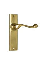 Fremantle-1025-Polished-Brass-Long-Backplate-Lever-Passage