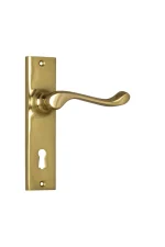 Fremantle-1026-Polished-Brass-Long-Backplate-Lever-Skeleton