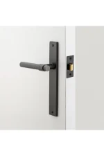 Helsinkie-Rectangular-Backplate-Lever-feature