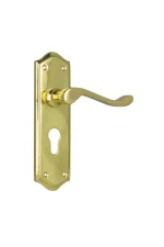 Henley-1074E-Polished-Brass-Long-Backplate-Lever-Euro