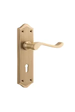 Henley-6634-Satin-Brass-Long-Backplate-Lever-Skeleton