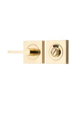 Iver-21720-Polished-Brass-Accessibility-Privacy-Turn-with-Indicator-Square