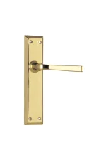 Menton-0675-Polished-Brass-Long-Backplate-Lever-Passage