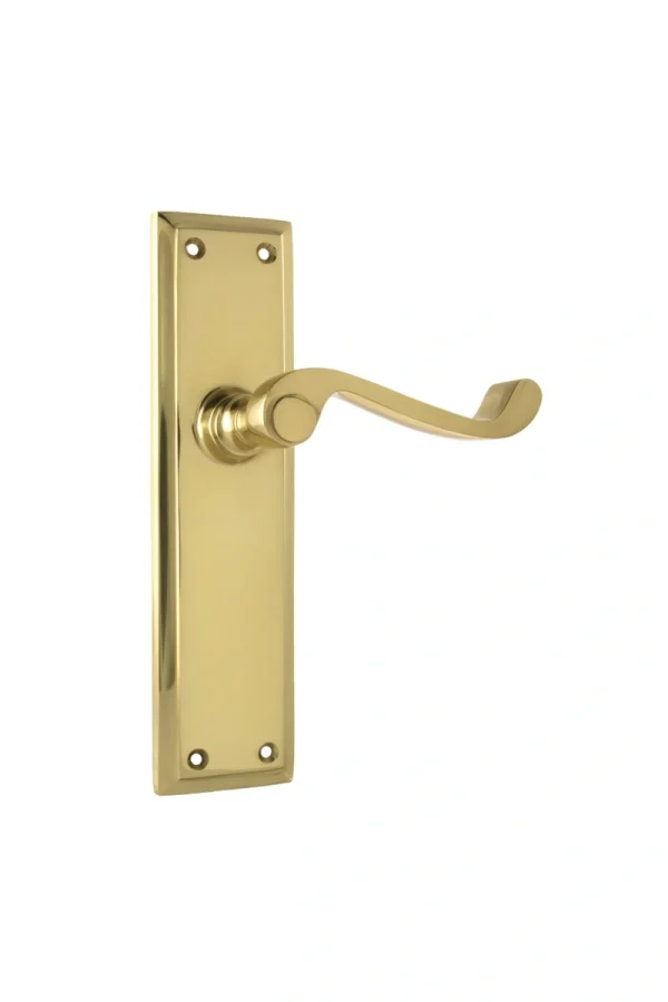 Milton-1004-Polished-Brass-Long-Backplate-Lever-Passage