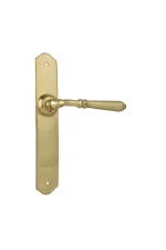Reims-0771-Polished-Brass-Long-Backplate-Lever-Passage