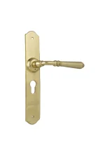 Reims-0771E-Polished-Brass-Long-Backplate-Lever-Euro