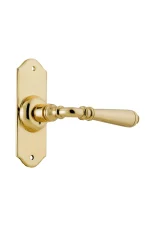 Reims-0773-Polished-Brass-Short-Backplate-Lever