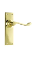 Victorian-1037-Polished-Brass-Long-Backplate-Lever-Passage