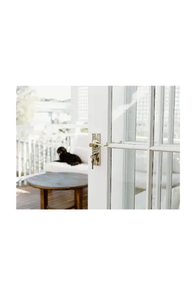 TRADCO VICTORIAN LONG BACKPLATE LEVER - Image 3