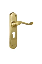 Windsor-1042E-Polished-Brass-Long-Backplate-Lever-Euro