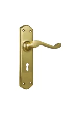 Windsor-1043-Polished-Brass-Long-Backplate-Lever-Skeleton