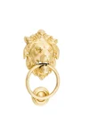 Lion-9330-Polished-Brass-Door-Knocker
