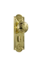 Nouveau-1053P-Polished-Brass-Long-Backplate-Knob-Privacy