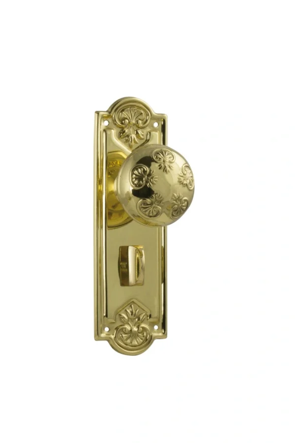 Nouveau-1053P-Polished-Brass-Long-Backplate-Knob-Privacy