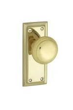 RIchmond-0980-Polished-Brass-Short-Backplate-Knob