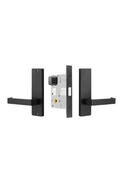 MILES NELSON COMMERCIAL - WIDE LONG PLATE - PASSAGE SET KIT - 87 LEVER - Image 2