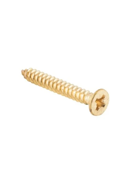 TRADCO HINGE SCREWS