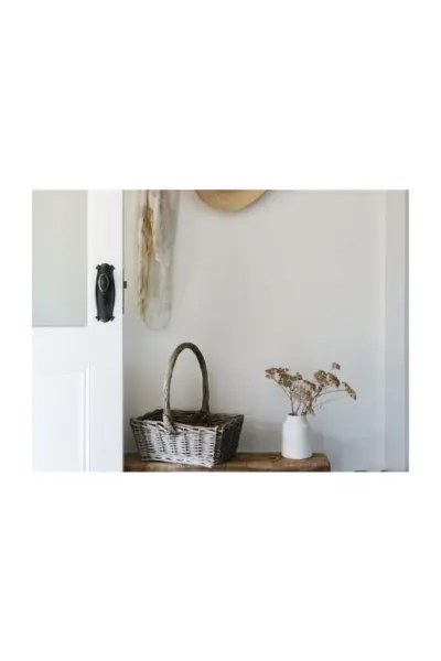 TRADCO BUNGALOW LONG BACKPLATE KNOB - Image 3